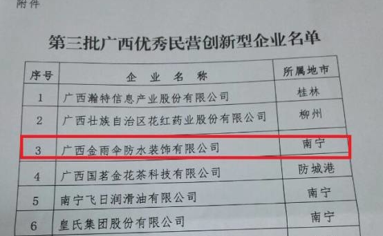 【企業(yè)榮譽】金雨傘被認(rèn)定為廣西優(yōu)秀民營創(chuàng)新企業(yè)