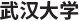 武漢大學