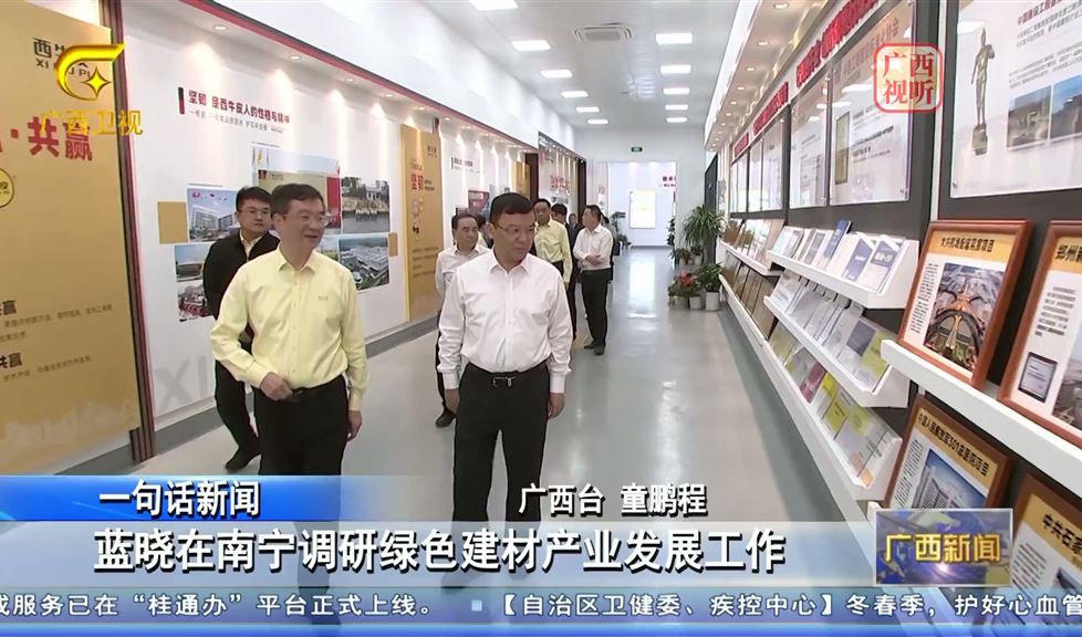 西牛皮（南寧）科技園迎來廣西壯族自治區(qū)人民政府副主席藍(lán)曉一行