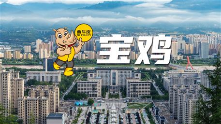 西牛皮-寶雞