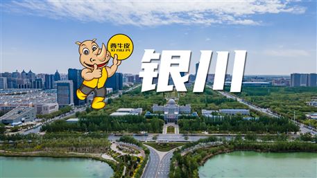 西牛皮-銀川