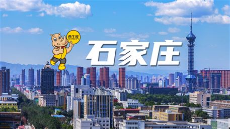 西牛皮-石家莊